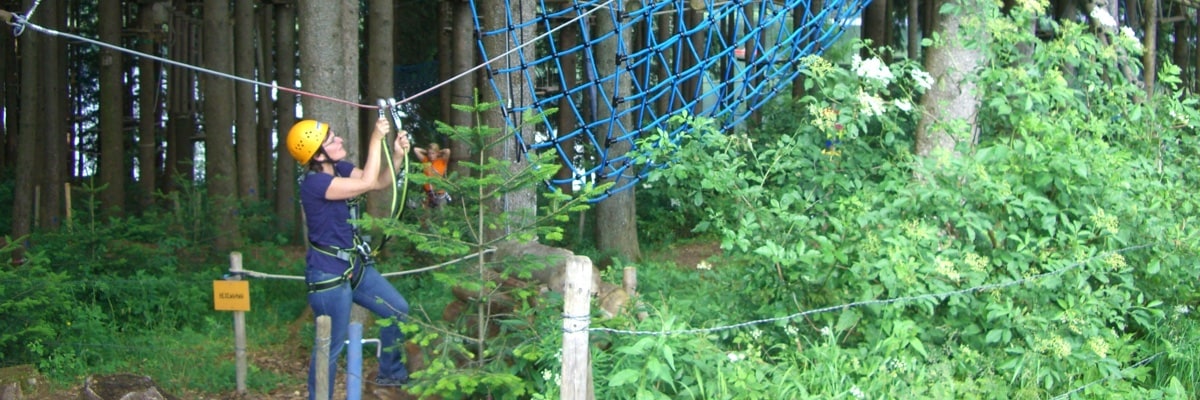 Lunettes de Securite Grimper Arbres