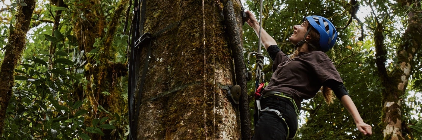 Tarif Accrobranche et la Sécurité